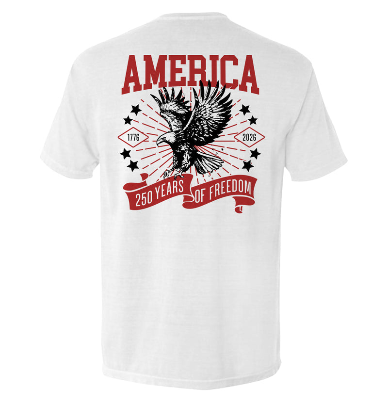 Load image into Gallery viewer, America 250 Years of Freedom
