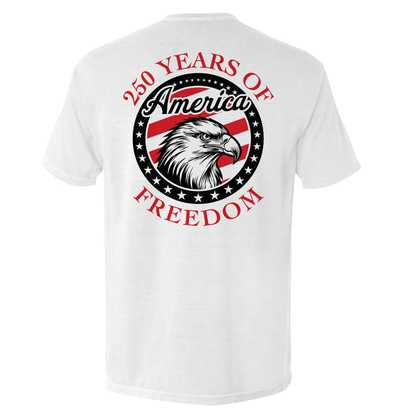 Load image into Gallery viewer, 250 Years Of Freedom Eagle Circle
