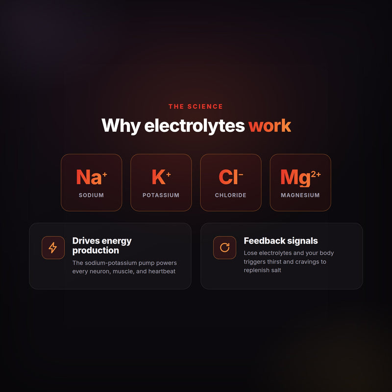 Load image into Gallery viewer, Zero Sugar Essential Electrolytes
