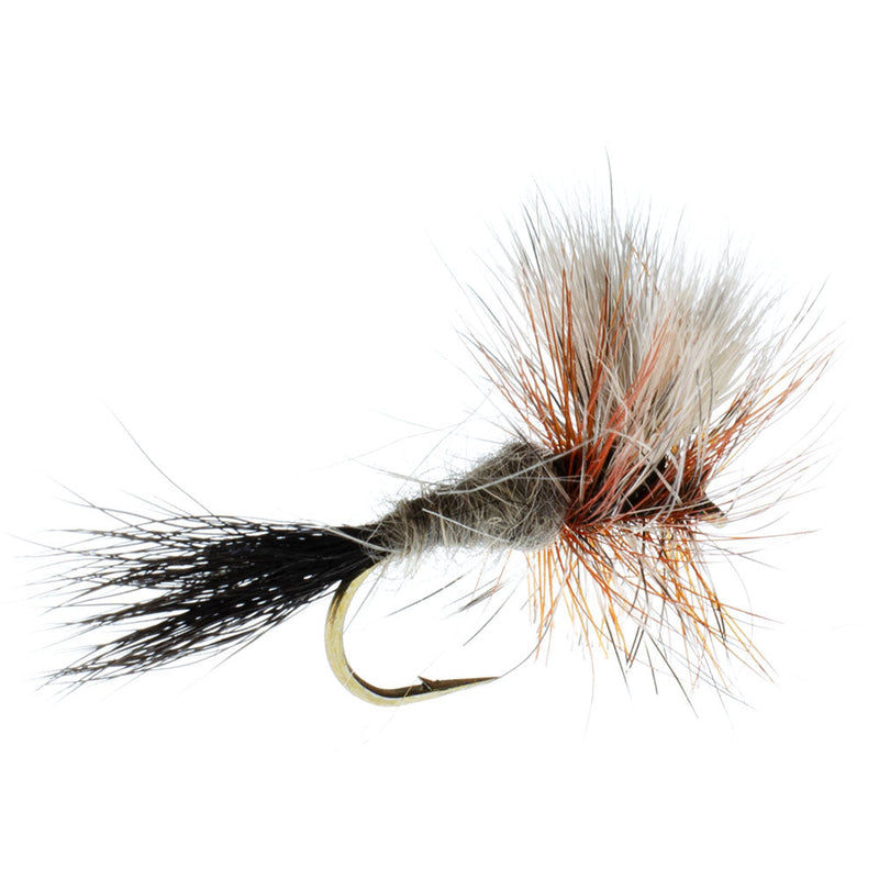 Load image into Gallery viewer, Ausable Wulff Classic Dry Fly 1 Dozen Flies  Hook Size 12
