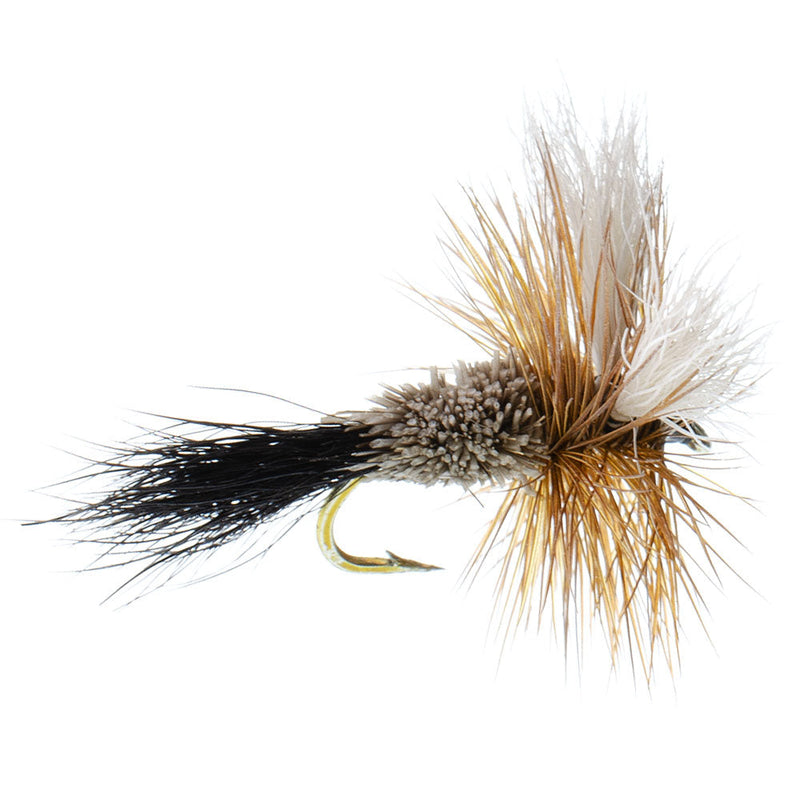 Load image into Gallery viewer, Basics Collection - Wulff Fly Assortment - 10 Flies - 5 Patterns - Sizes 10-14
