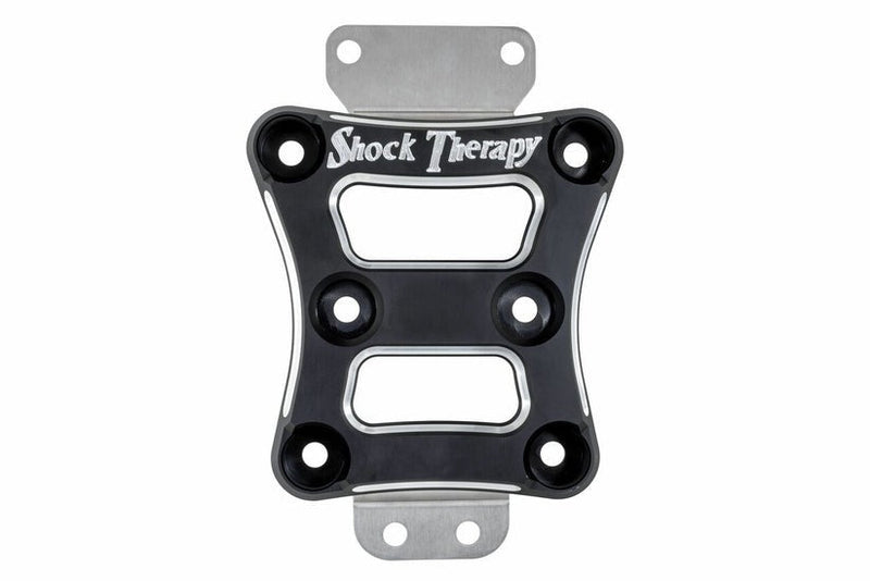 Load image into Gallery viewer, Shock Therapy Pull Plate for Can-Am X3
