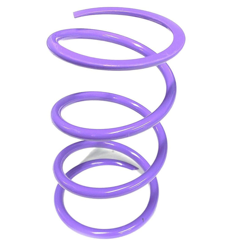 Load image into Gallery viewer, Aftermarket Assassins RS1 Secondary Springs for 2016-20 RZR Turbo
