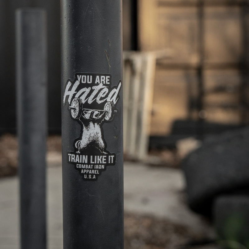 Load image into Gallery viewer, You Are Hated Train Like It Decal

