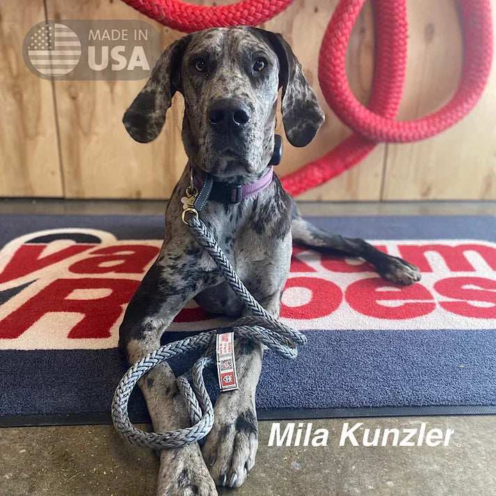 Load image into Gallery viewer, 5 Ft Dog Winch Leash - Skoutley Outdoors LLC
