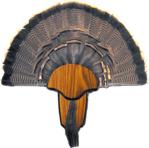 Hs Strut Mounting Kit Turkey - Tail & Beard - Skoutley Outdoors LLC