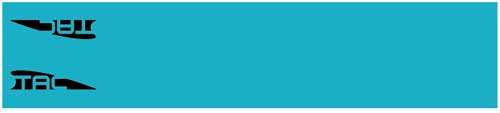 Tac Vanes Standard Arrow Wrap - 4.675" Turquoise 13 Pack - Skoutley Outdoors LLC