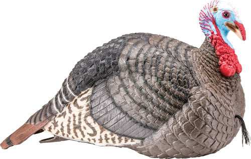 Hs Strut Turkey Decoy Jake - Strut-lite - Skoutley Outdoors LLC