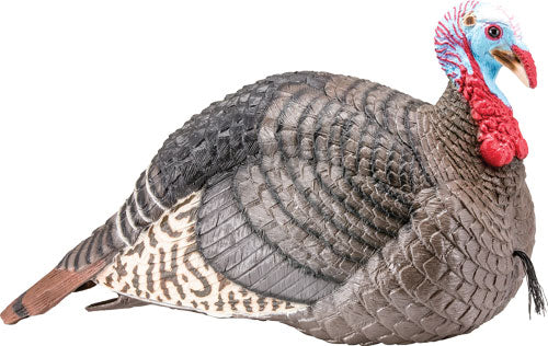 Hs Strut Turkey Decoy Jake - Strut-lite - Skoutley Outdoors LLC