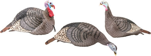 Hs Strut Turkey Decoy Flock - Strut-lite Hen/jake/feeder! - Skoutley Outdoors LLC