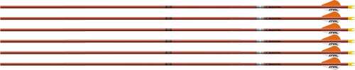 Easton Arrow Fmj 5mm 340 W/ 2" - Bully Vanes 6-pack Autumn Org - Skoutley Outdoors LLC