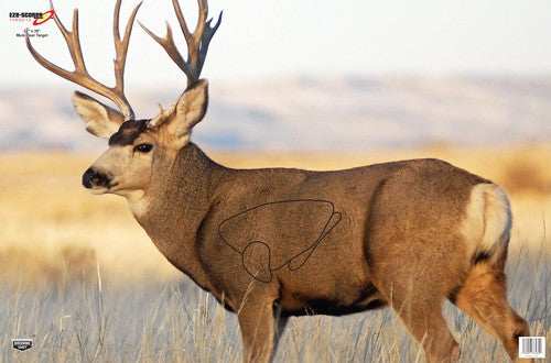 B/c Target Eze-scorer 23"x35" - Mule Deer 2 Targets - Skoutley Outdoors LLC