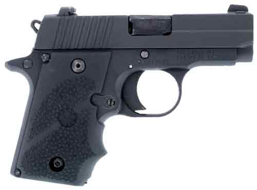 Load image into Gallery viewer, Hogue Grips Sigarms P238 -
