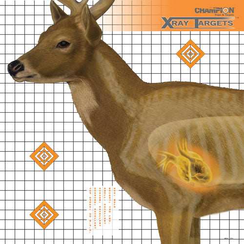 Champion X-ray Target Deer - 25"x25" 6-pack - Skoutley Outdoors LLC