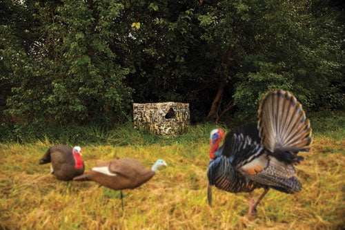 Primos Double Bull Stakeout W/ - Surroundview 59"w X 37"h Truth - Skoutley Outdoors LLC