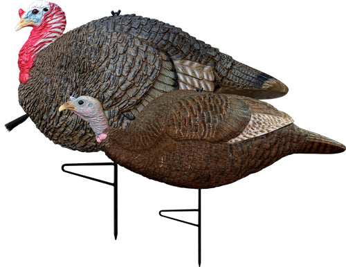 Primos Turkey Decoy Lil - Gobbstopper Jake/hen Combo - Skoutley Outdoors LLC