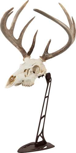 Allen Ez Mount Centerpiece - Skull Stand Brown - Skoutley Outdoors LLC