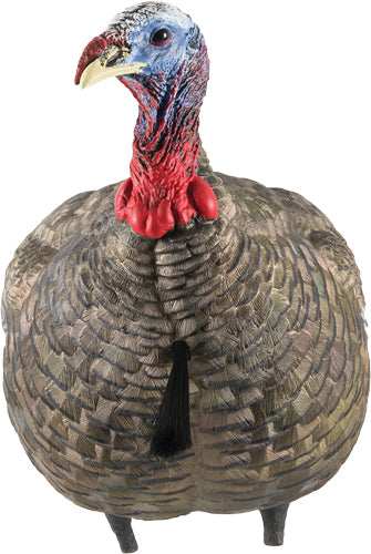 Avian X Lcd Quarter Strut Jake - Decoy - Skoutley Outdoors LLC