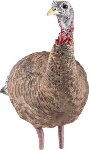 Avian X Lcd Lookout Hen Decoy - - Skoutley Outdoors LLC