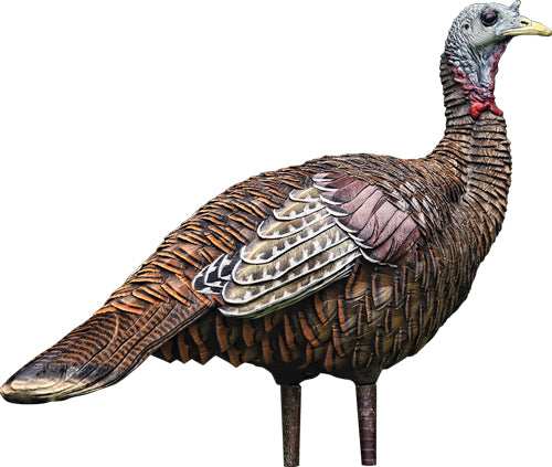 Avian X Lcd Lookout Hen Decoy - - Skoutley Outdoors LLC