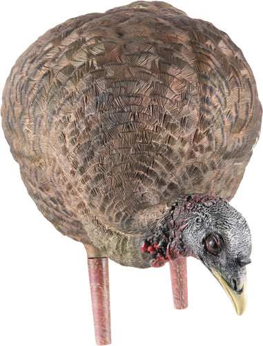 Avian X Lcd Feeder Hen Decoy - - Skoutley Outdoors LLC