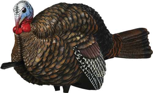 Avian X Lcd 1/2 Strut Jake - Decoy - Skoutley Outdoors LLC