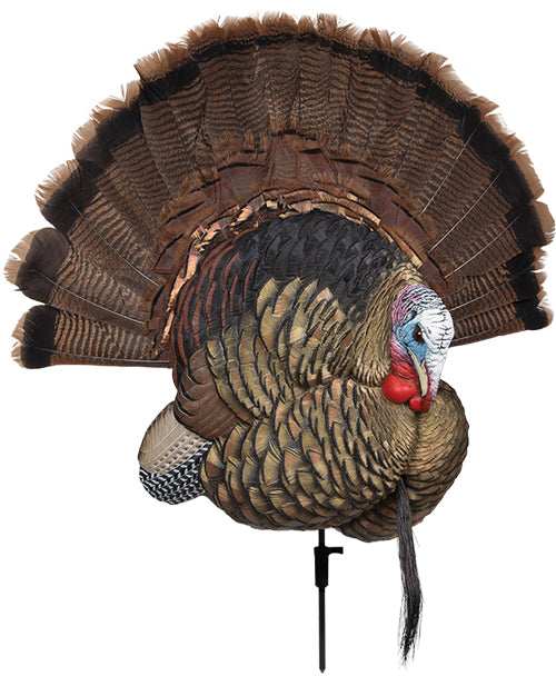 Avian X Trophy Tom Decoy - - Skoutley Outdoors LLC