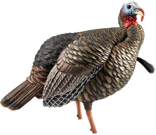 Avian X Hdr Jake Decoy - - Skoutley Outdoors LLC