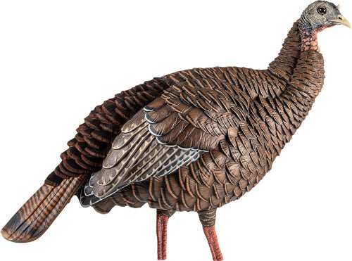 Avian X Hdr Hen Decoy - - Skoutley Outdoors LLC