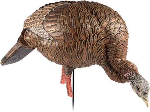 Avian X Hdr Feeding Hen Decoy - - Skoutley Outdoors LLC