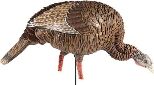 Avian X Hdr Feeding Hen Decoy - - Skoutley Outdoors LLC