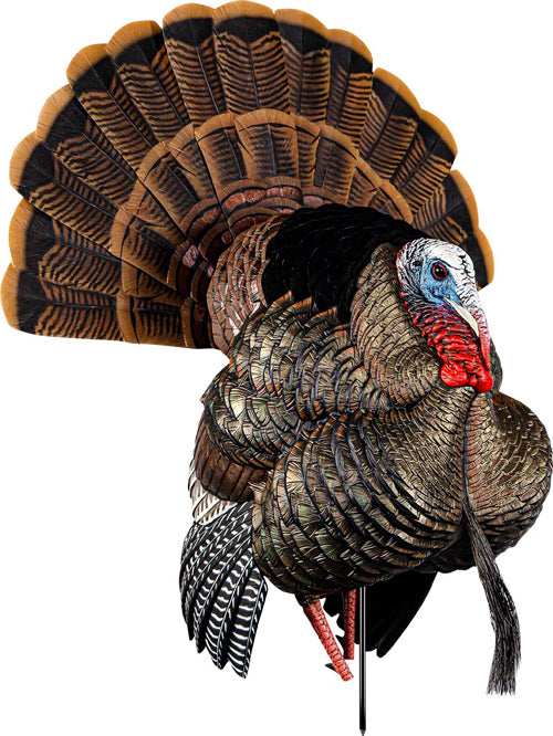 Avian X Hdr Strutter Decoy - - Skoutley Outdoors LLC