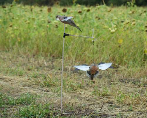 Avian X Spinning Wing Dove - Decoy - Skoutley Outdoors LLC