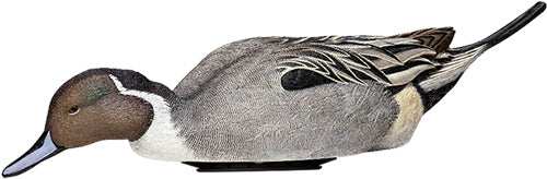 Avian X Power Shaker Pintail - Surface Feeder Decoy - Skoutley Outdoors LLC