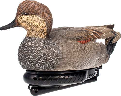 Avian X Power Swimmer Gadwall - Drake Decoy - Skoutley Outdoors LLC