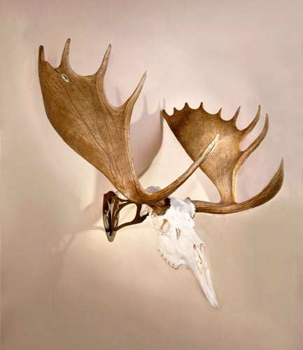 Skull Hooker Big Hooker - Robust Brown - Skoutley Outdoors LLC