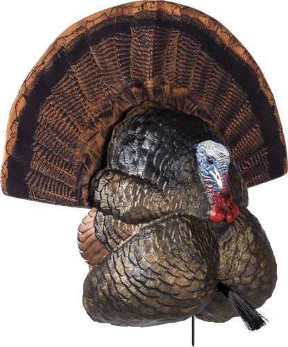 Flextone Thunder Creeper - Strutter Decoy W/ Folding Fan - Skoutley Outdoors LLC