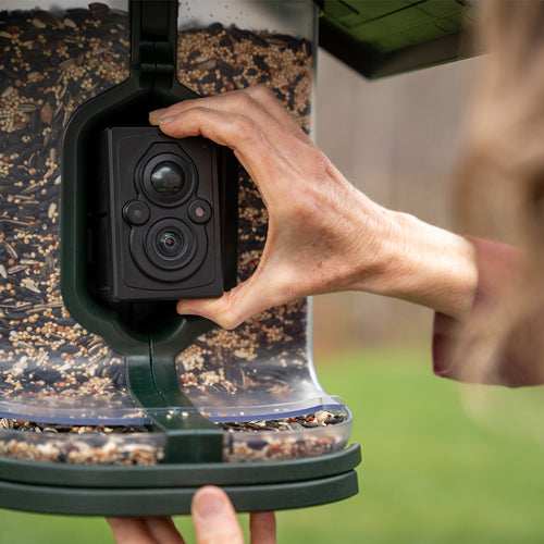 Feathersnap Scout Birdfeeder - Wi-fi Solar Powered W/ Camera - Skoutley Outdoors LLC