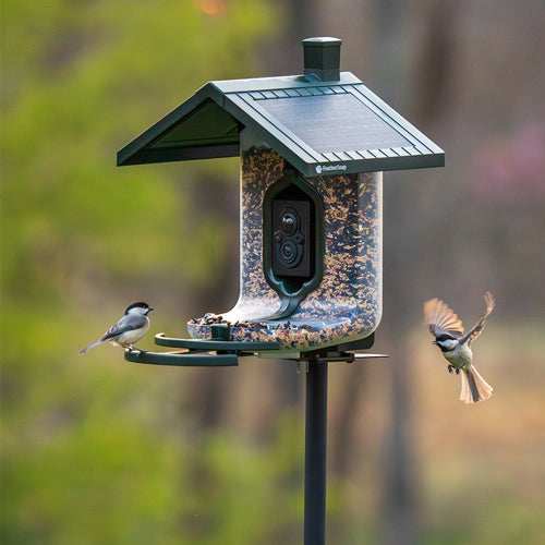 Feathersnap Scout Birdfeeder - Wi-fi Solar Powered W/ Camera - Skoutley Outdoors LLC