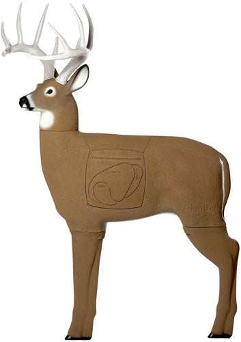 Glendel 3d Buck Target 48" W/4 - Sided Insert Broadhead Rated - Skoutley Outdoors LLC