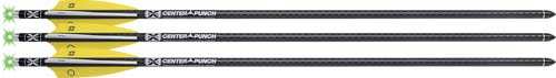 Tenpoint Xbow Arrow 16