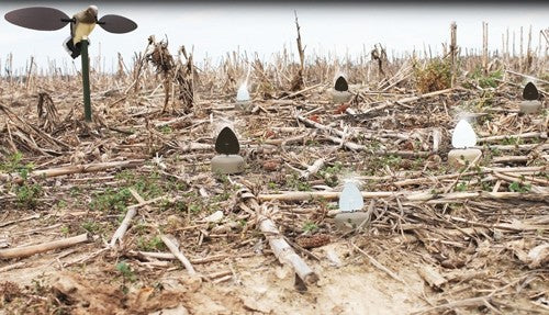 Mojo Dove A Flicker (4 Pack) - - Skoutley Outdoors LLC
