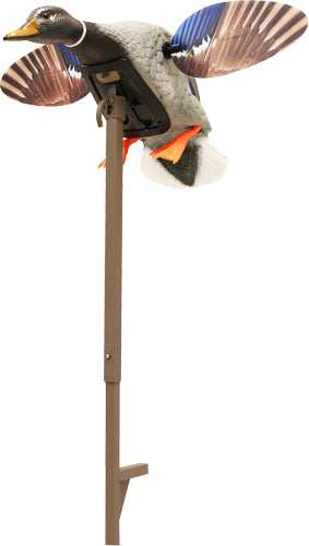 Mojo Elite Series Mini Mallard - Drake Decoy - Skoutley Outdoors LLC