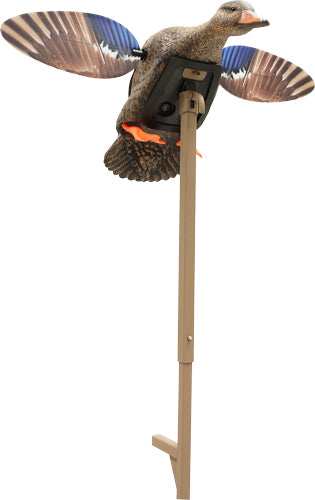 Mojo Elite Series Mini Mallard - Hen Decoy - Skoutley Outdoors LLC