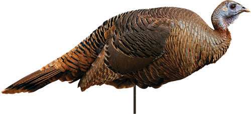 Montana Decoy Turkey Spring - Fling Hen - Skoutley Outdoors LLC