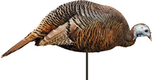Montana Decoy Turkey Hen - Dinner Belle - Skoutley Outdoors LLC