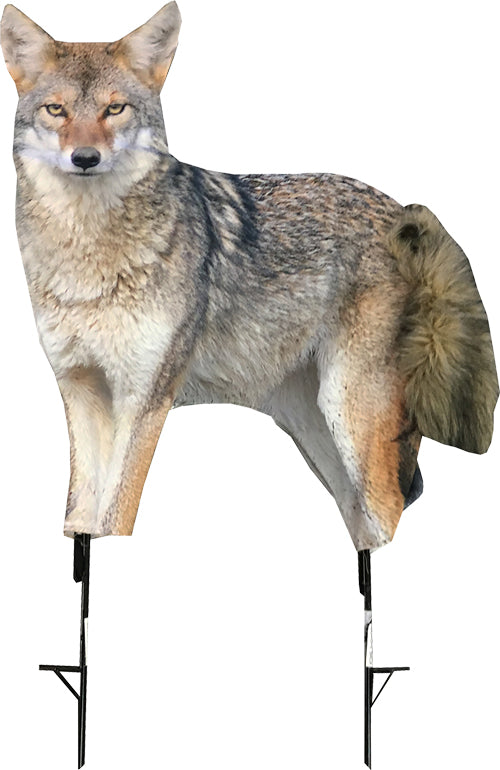 Montana Decoy Coyote Song Dog - - Skoutley Outdoors LLC