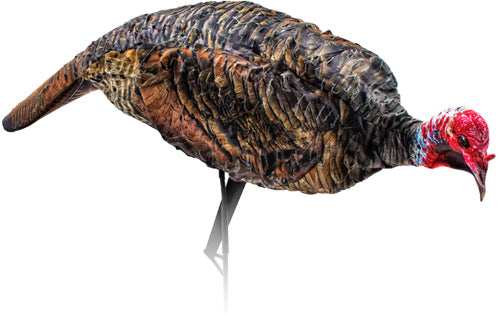 Montana Decoy Turkey Jake - Purr-fect Xd! - Skoutley Outdoors LLC