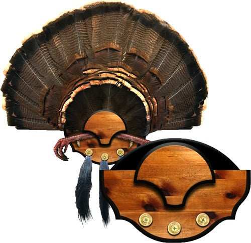 Mountain Mike's Beard Master - Turkey Plaque Kit - Skoutley Outdoors LLC