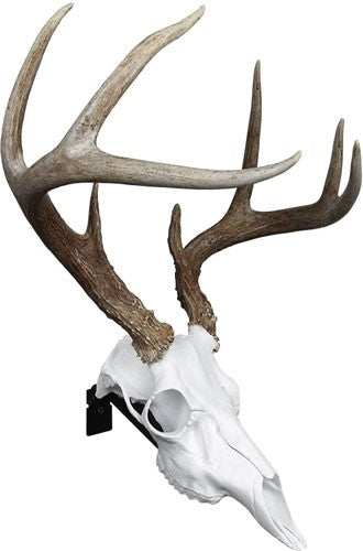 Mountain Mike's Deer Skull - Positioner - Skoutley Outdoors LLC